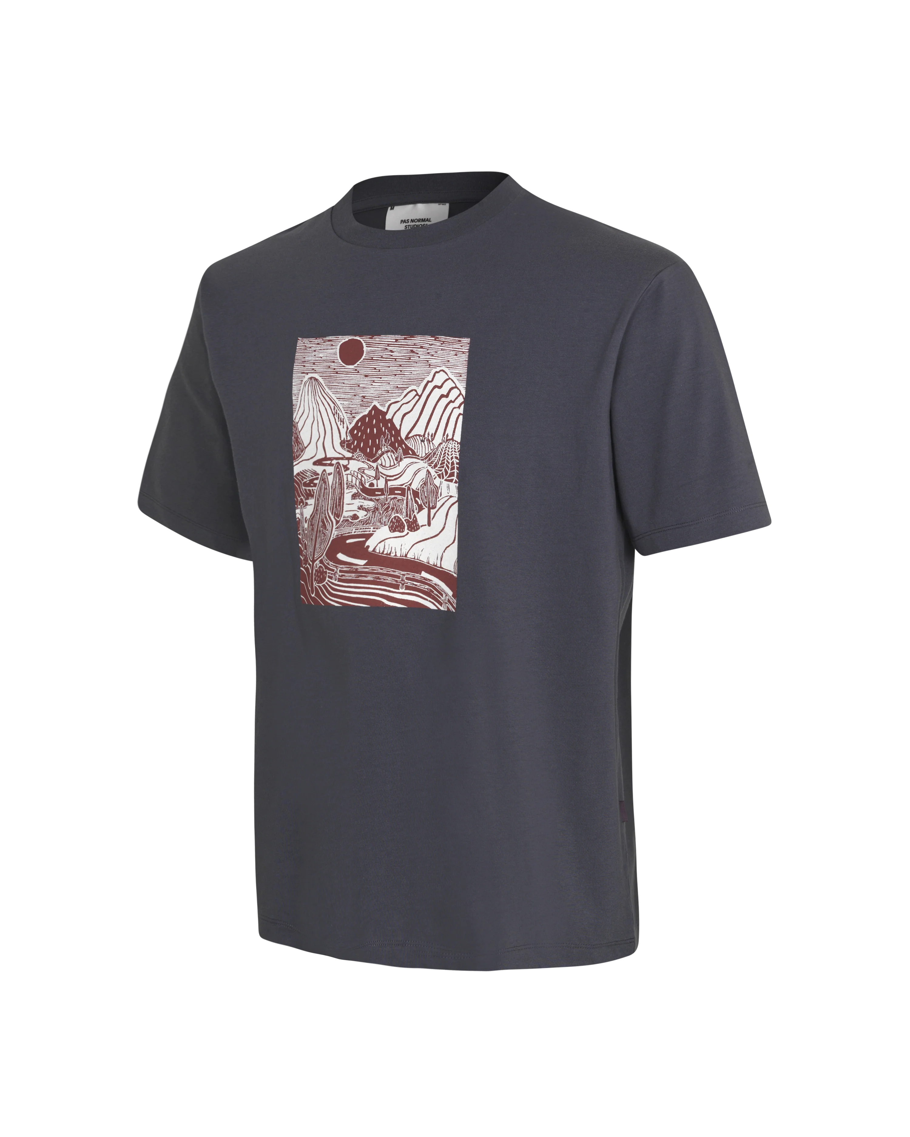 PNS Off-Race Graphic T-Shirt Steel - Image 3