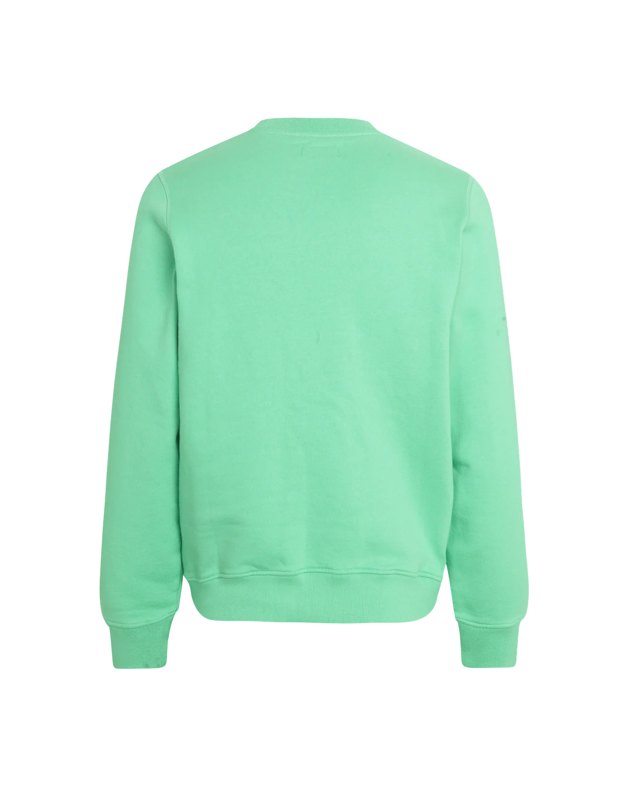 PNS Off-Race Logo Sweatshirt Light Emerald - Image 2