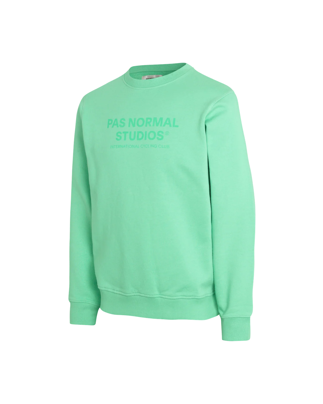 PNS Off-Race Logo Sweatshirt Light Emerald - Image 3
