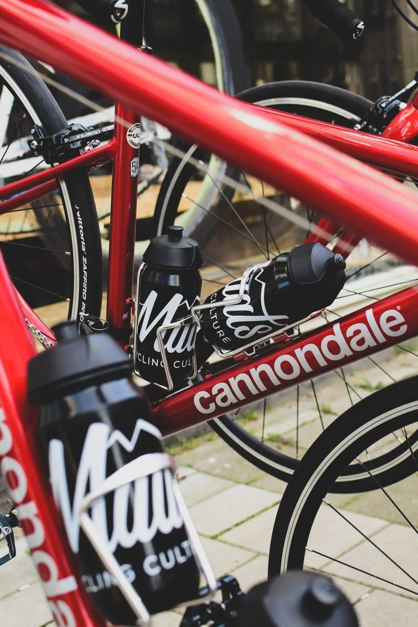 Road Bike Rental - Image 3