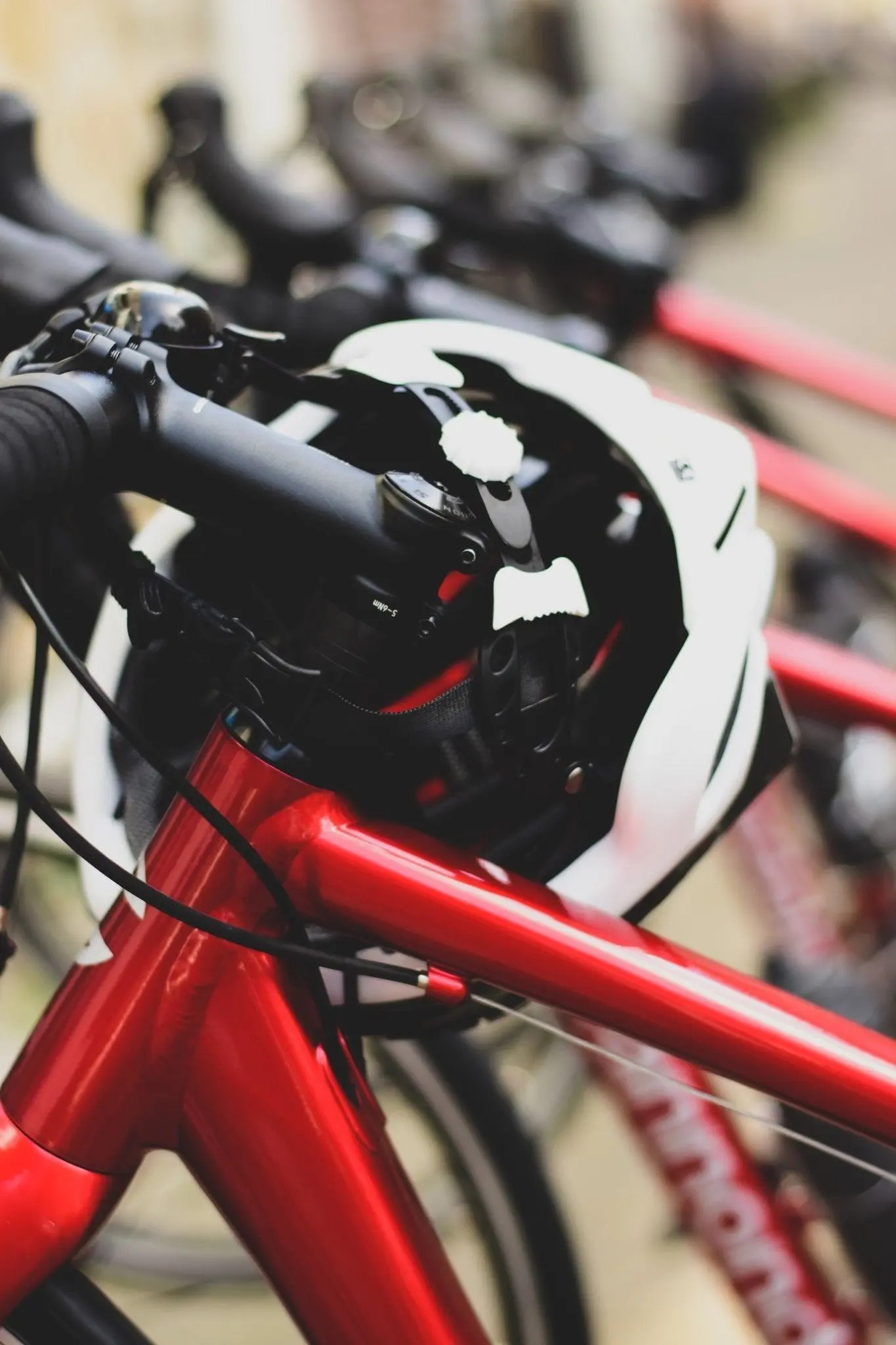 Road Bike Rental - Image 5